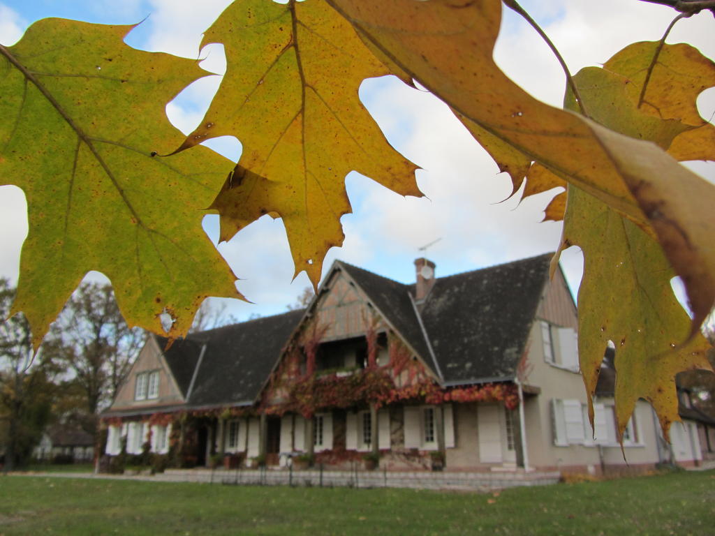 Bed and Breakfast Les Vieux Guays Cerdon  Exterior foto