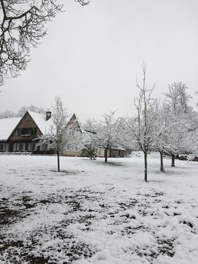 Bed and Breakfast Les Vieux Guays Cerdon  Exterior foto